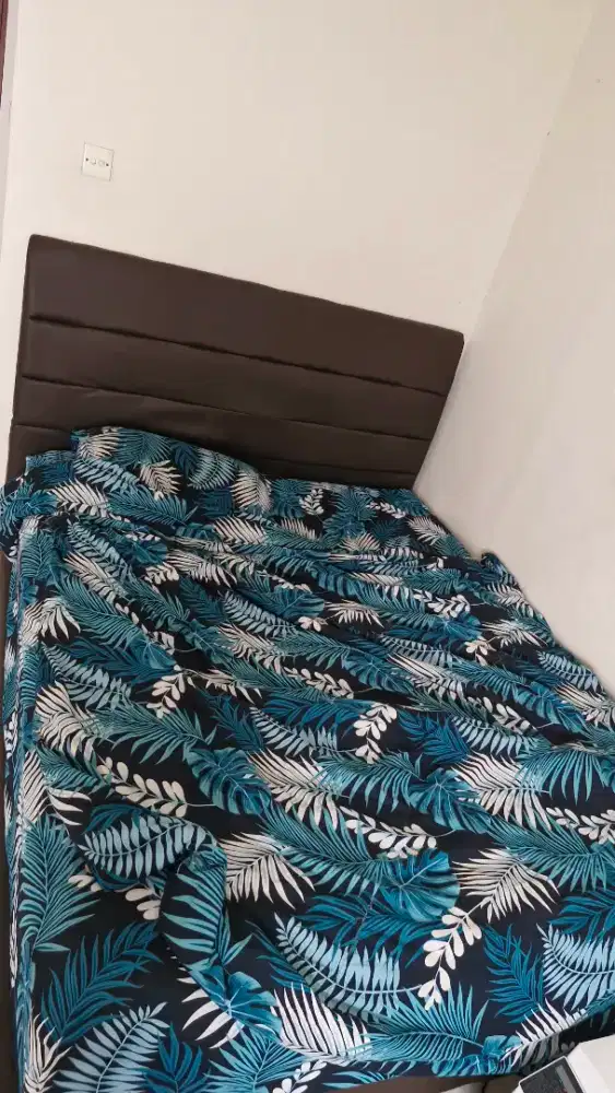 Spring Bed (Kasur+Dipan) + Sofa Bed