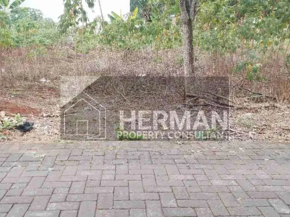 Tanah Tembalang Mulawarman Undip