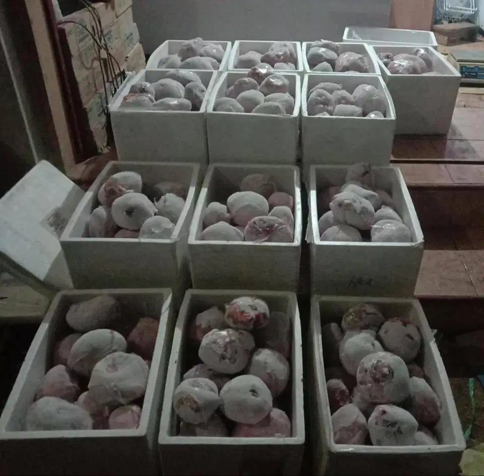 Daging Kelinci Giling Murni - Cocok untuk Raw Food Anjing & Kucing