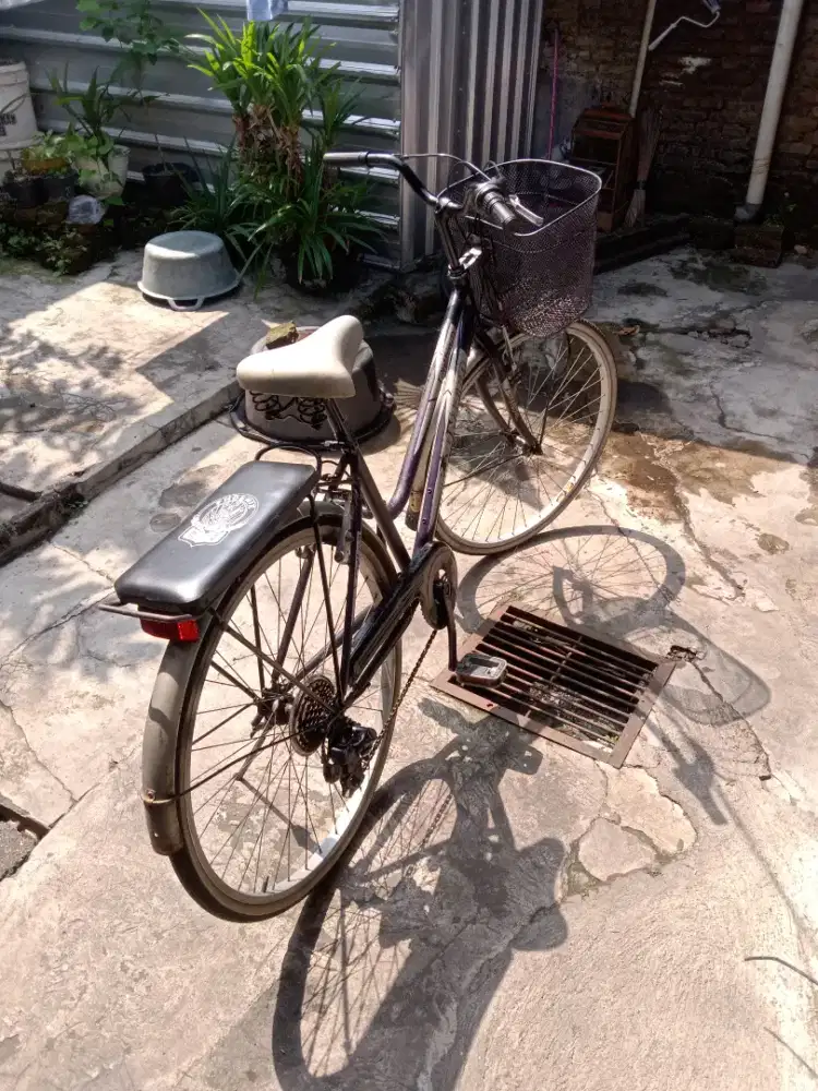 Jual sepeda united cewek