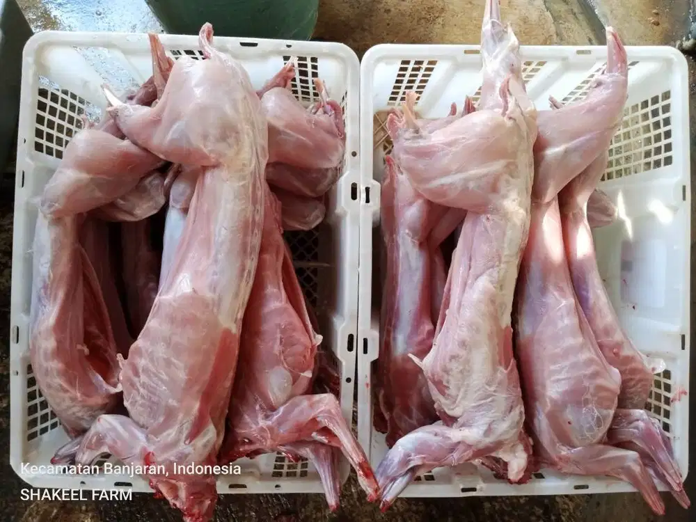 Suplier Daging Kelinci Segar & Frozen untuk Pakan Pet