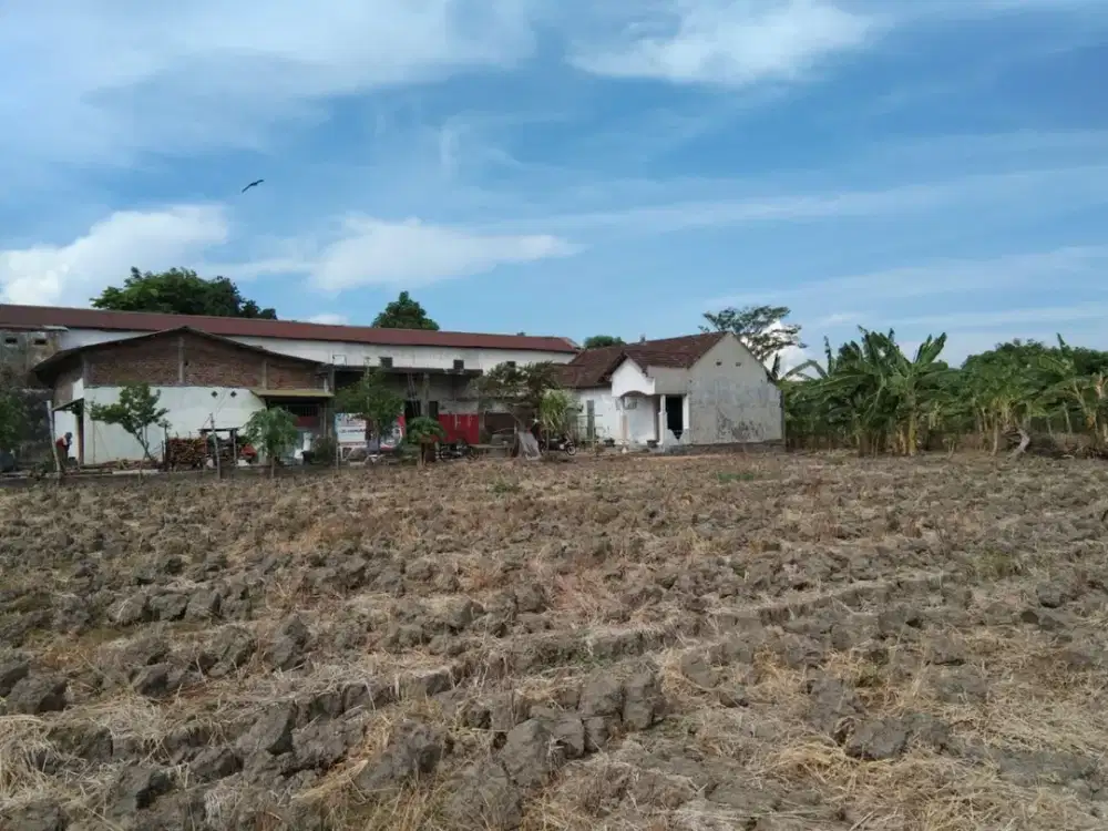 Dijual Lahan Juanda Sidoarjo
