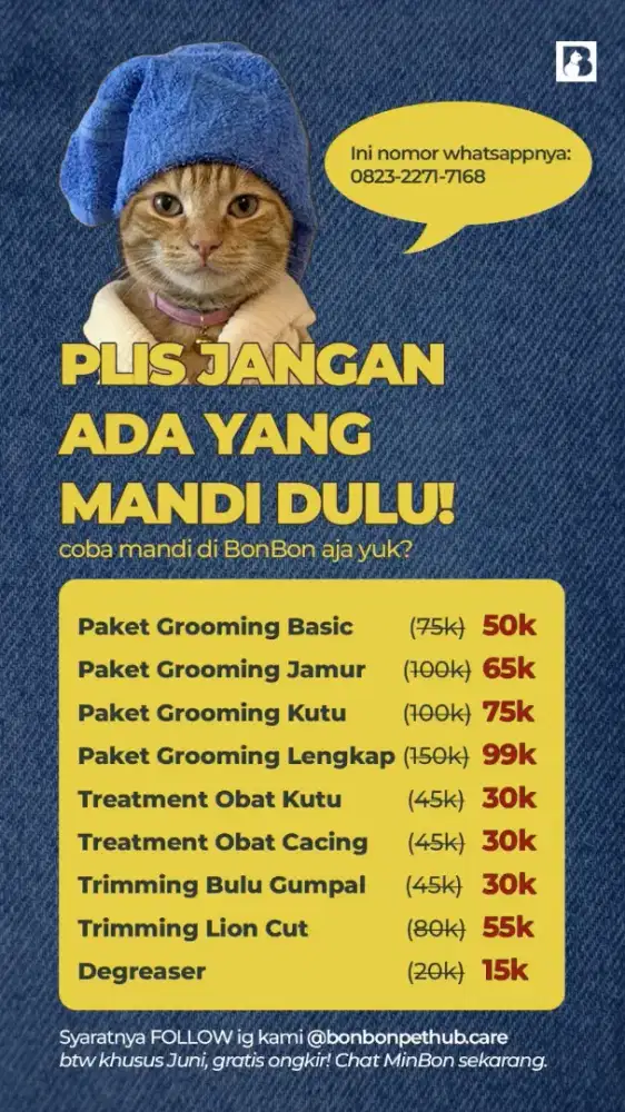 Jasa Grooming Kucing