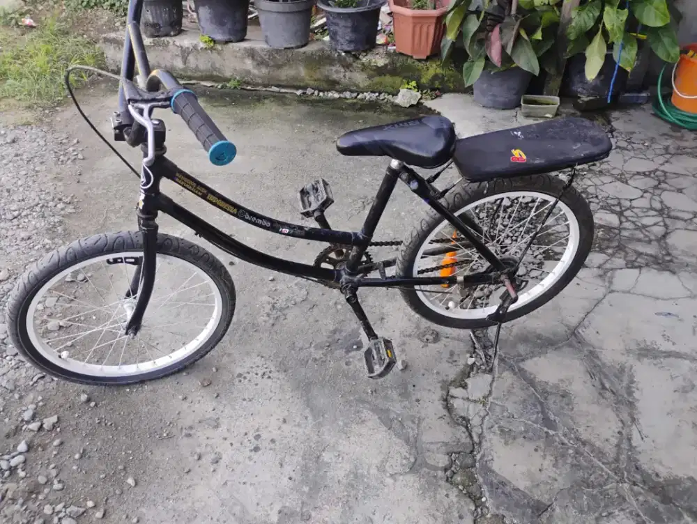 jual sepeda anak