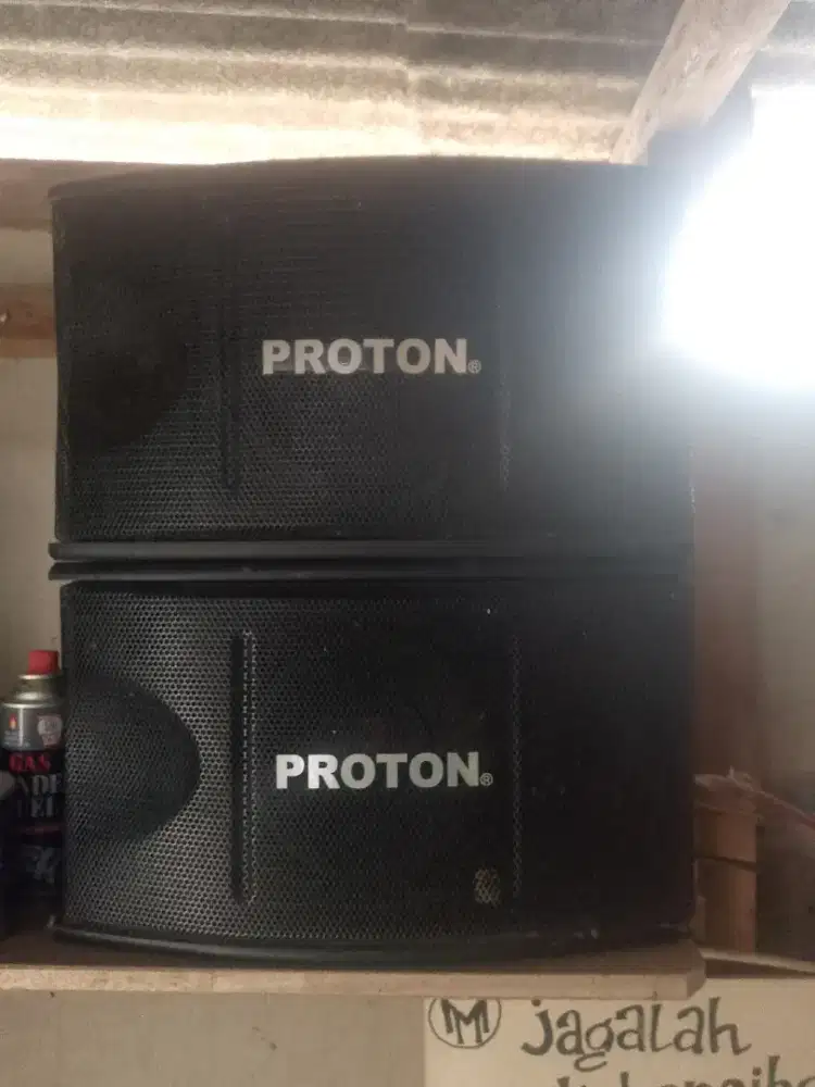 Speaker  Pasif R L 5ohm