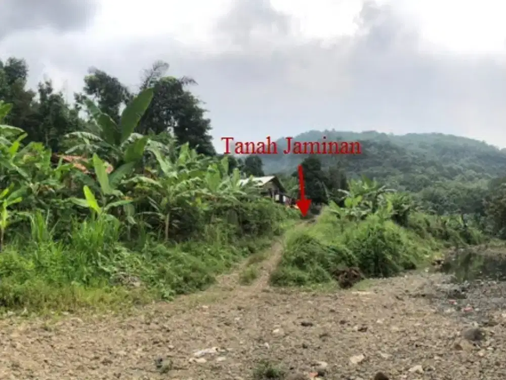 Dijual  Tanah Seluas 137.876 m2 Seharga 5.82M - Lampung