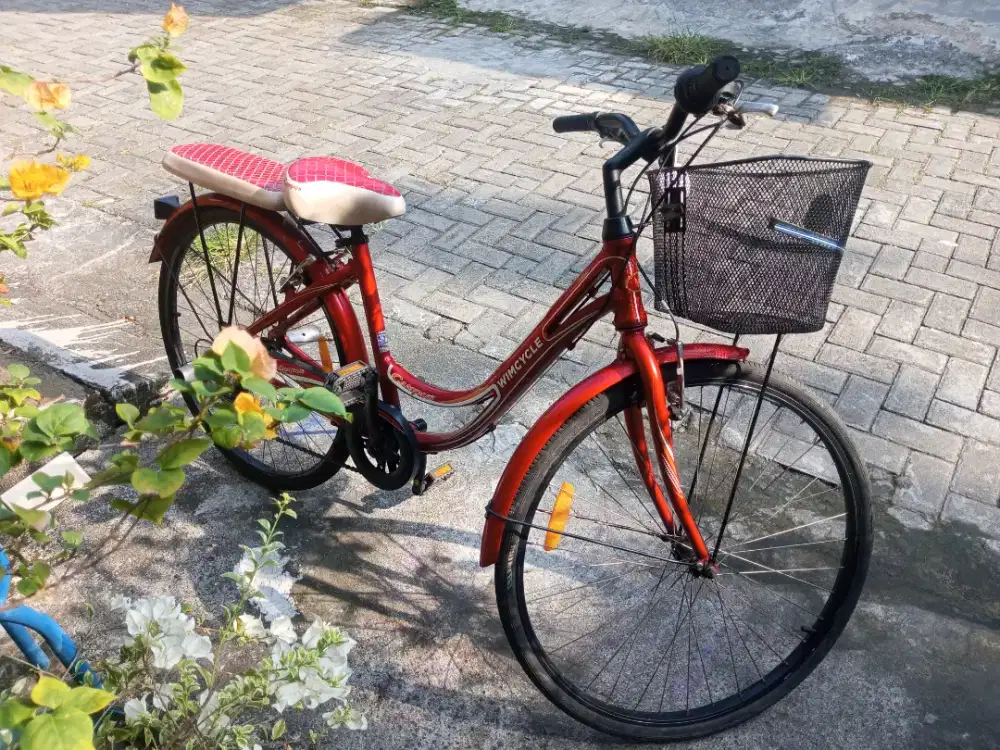 Sepeda cewek 26 wymcycle