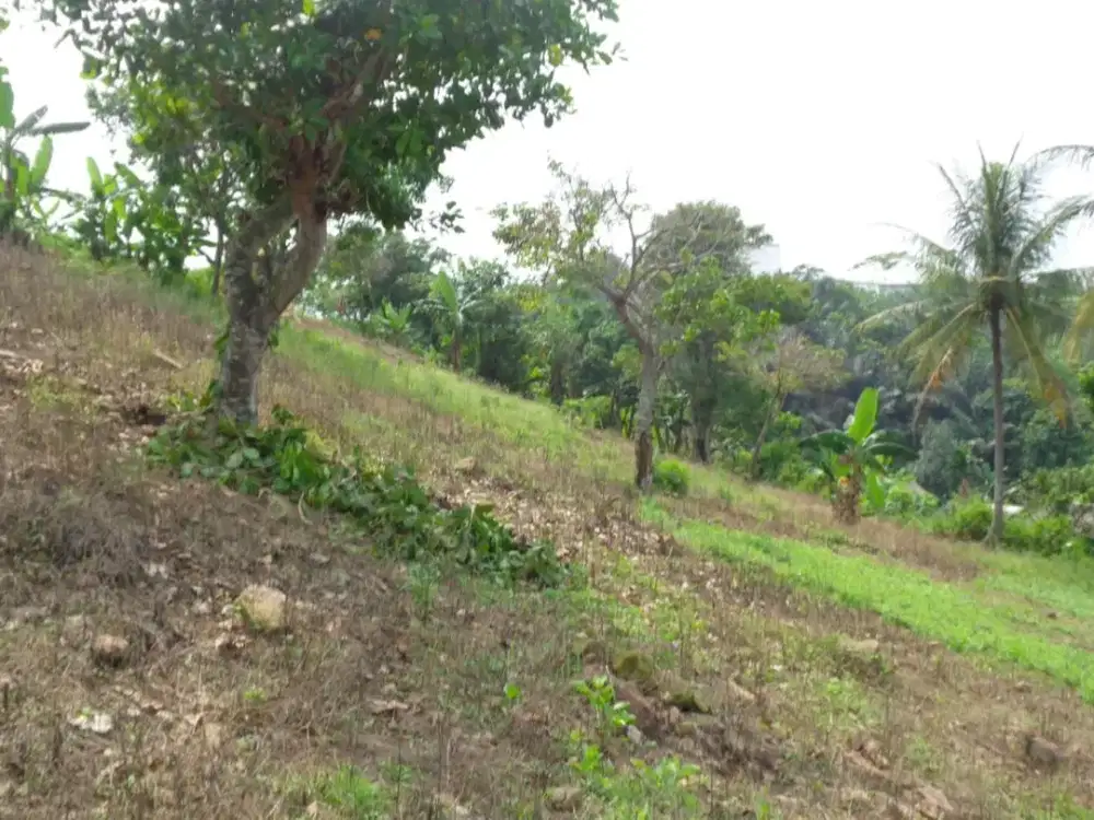 Dijual Tanah Seluas 15.090 m2 Seharga Rp. 2,355 M - Bandar Lampung