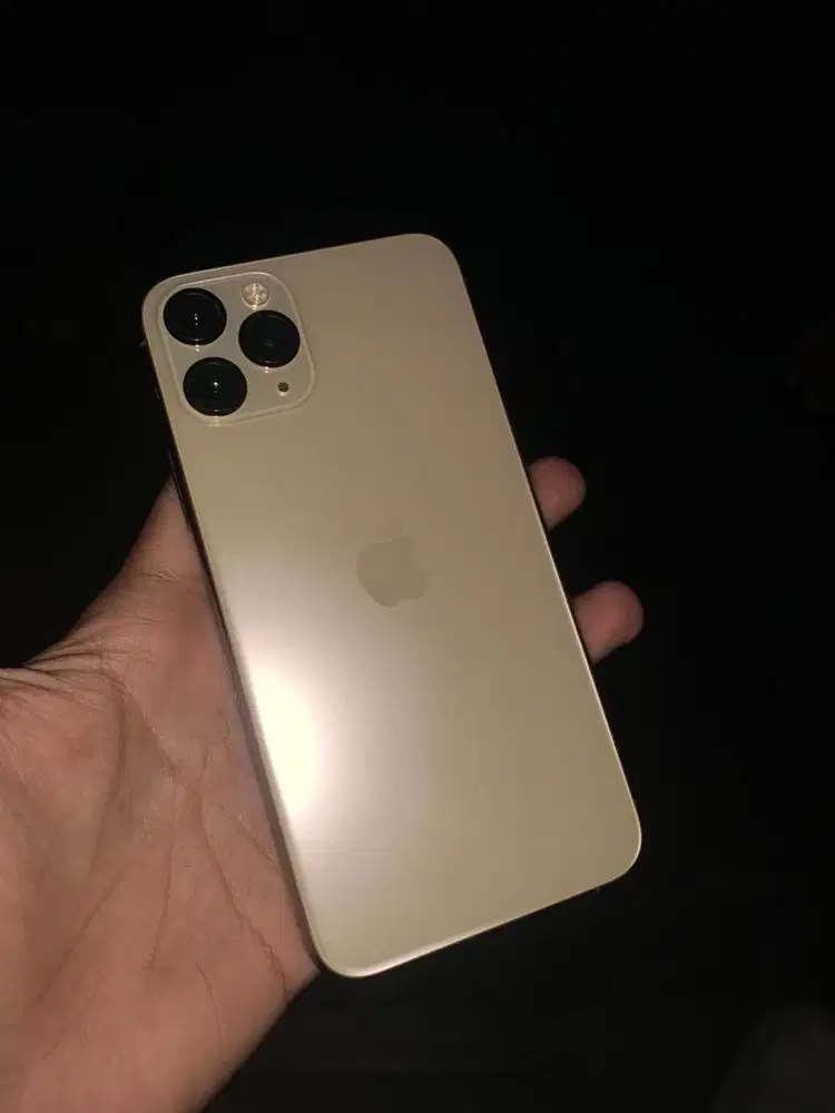 Iphone 11 PRO 256gb inter allop