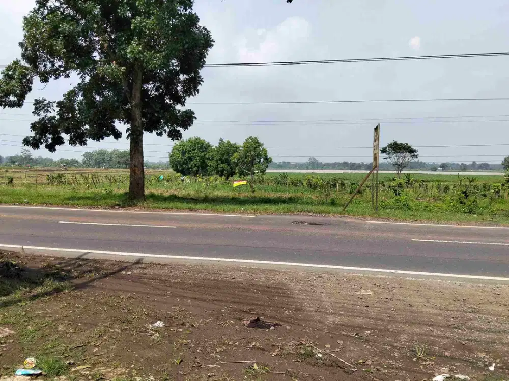 hanya 1.3jt/mtr Pagaden Subang maindorad