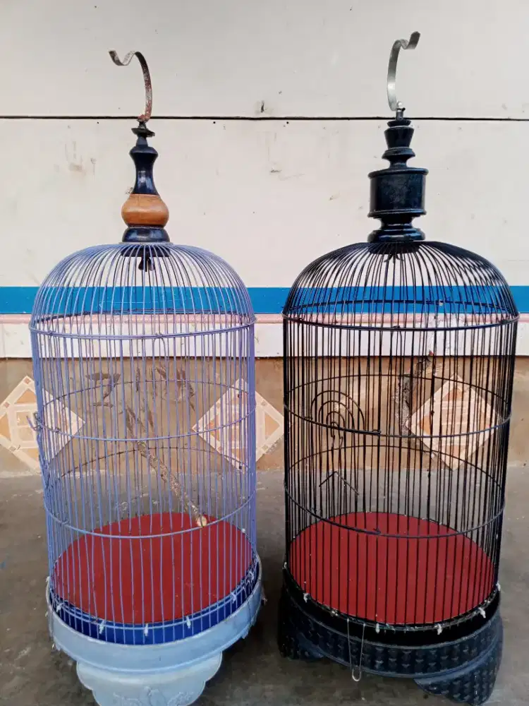 kandang love bird dua biji