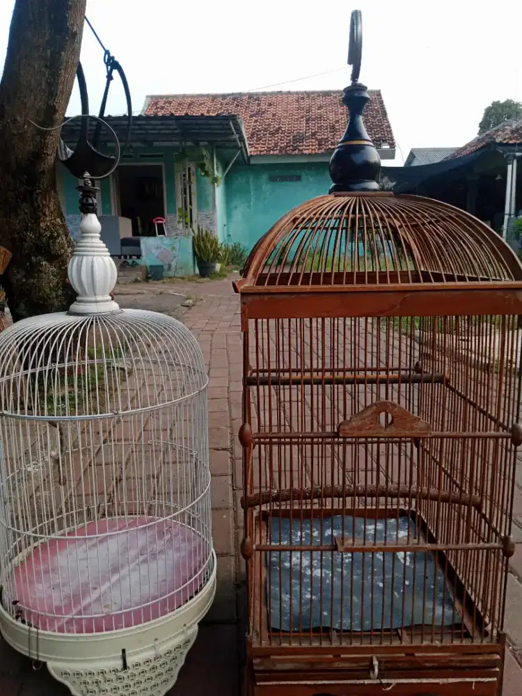 Kandang besi dan kayu