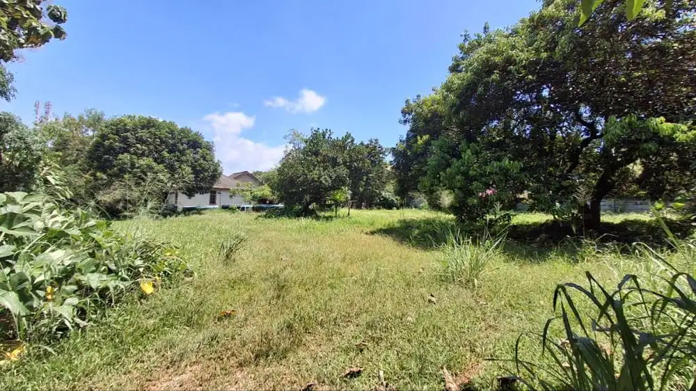 Dijual Tanah + Rumah SHM di Curug Gunung Sindur Bogor