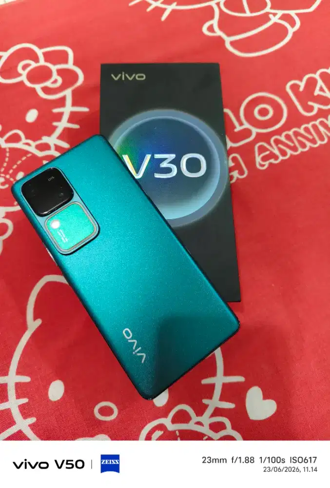 Vivo v30 12/512 mulus