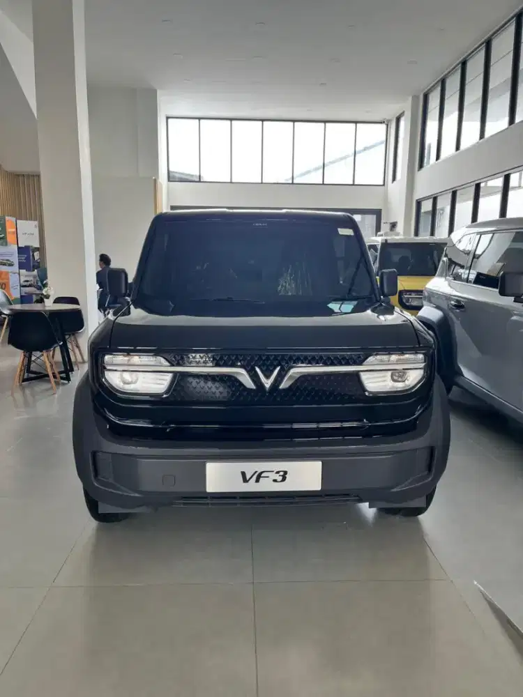 Vinfast vf3 2025&2026