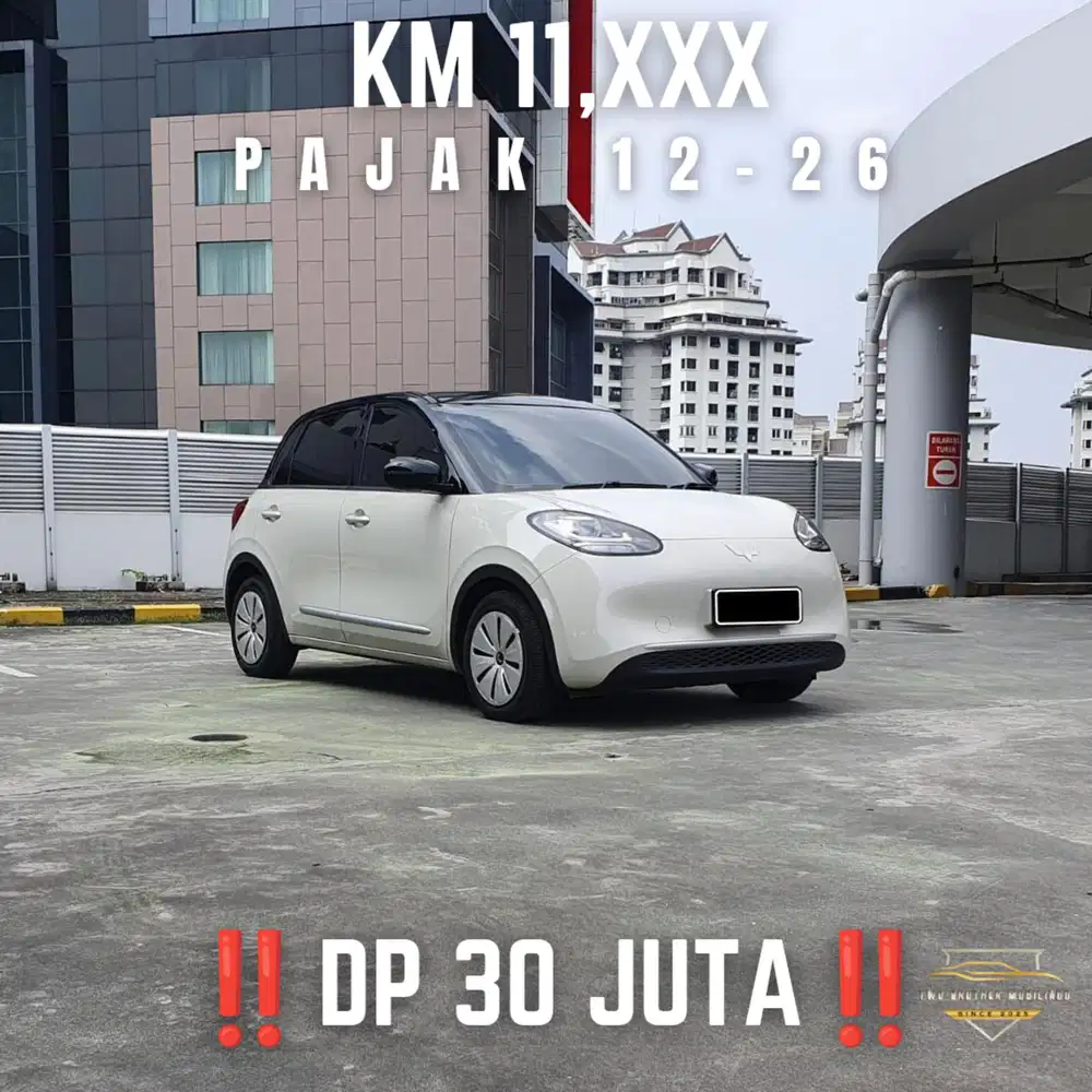 ‼️DP 30 JT‼️ WULING BINGUO LITE 333 CCS2 2025