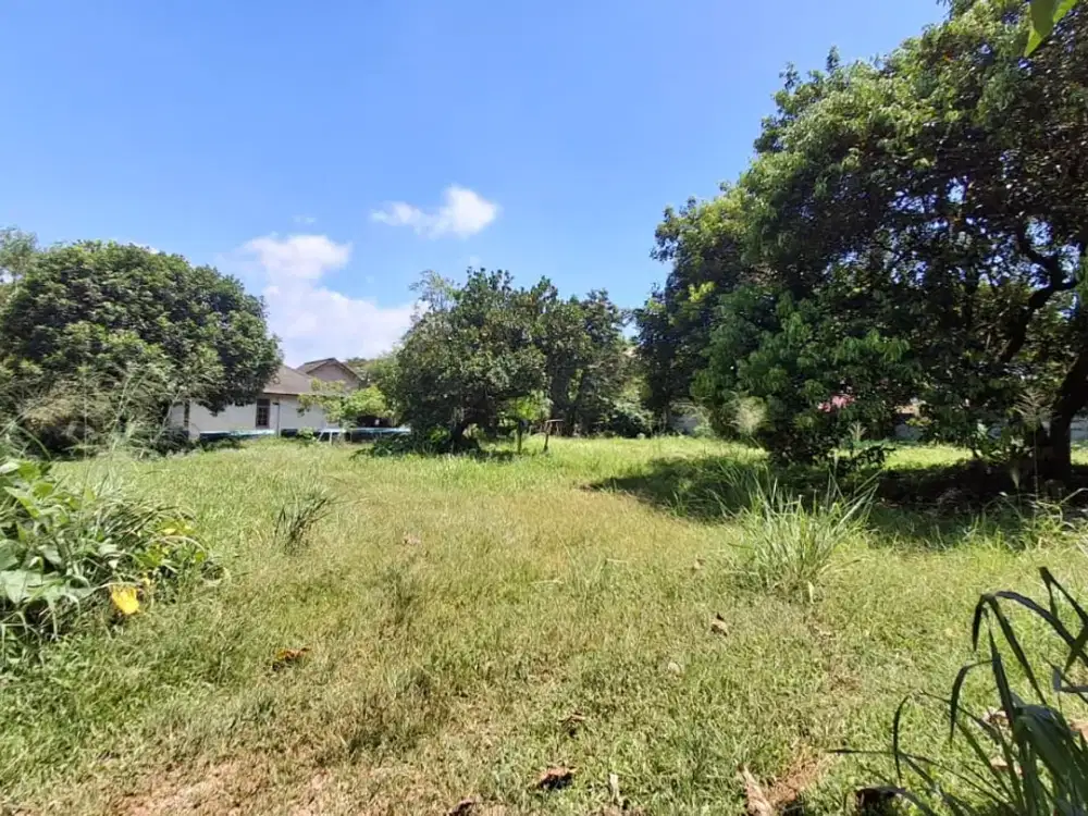 Tanah Kavling Luas + Rumah Tinggal di Curug, Gunung Sindur Bogor