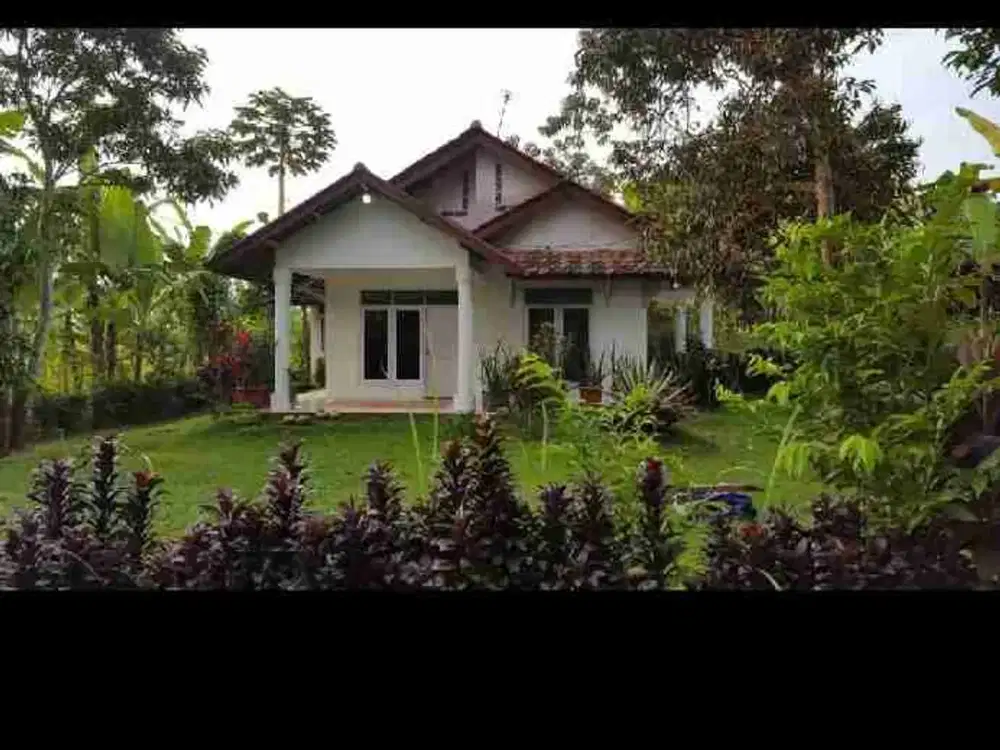 Tanah dengan View Gunung dan Hamparan Sawah (Bonus Rumah)