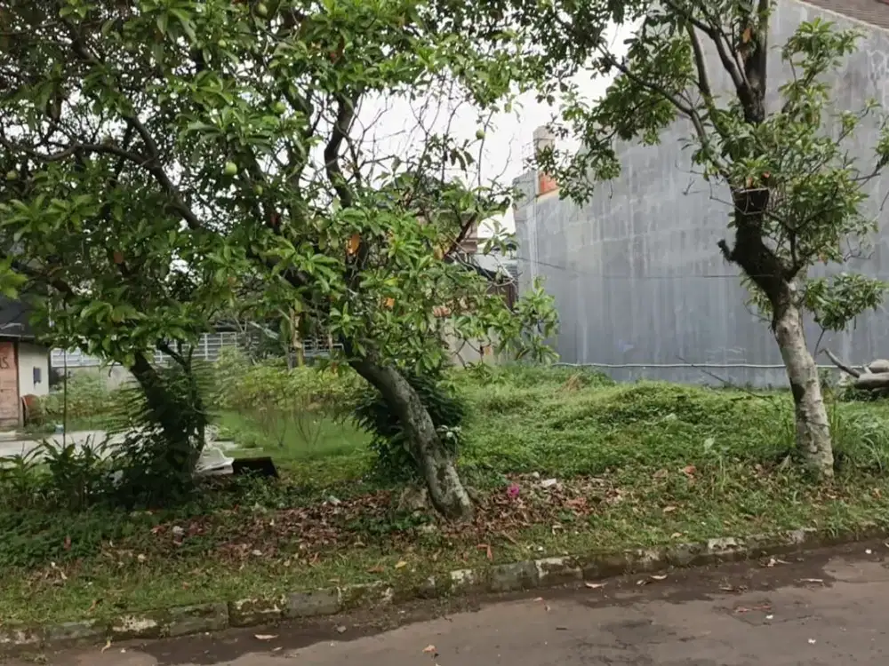 Tanah Matang Di Buah Batu Regency Bandung