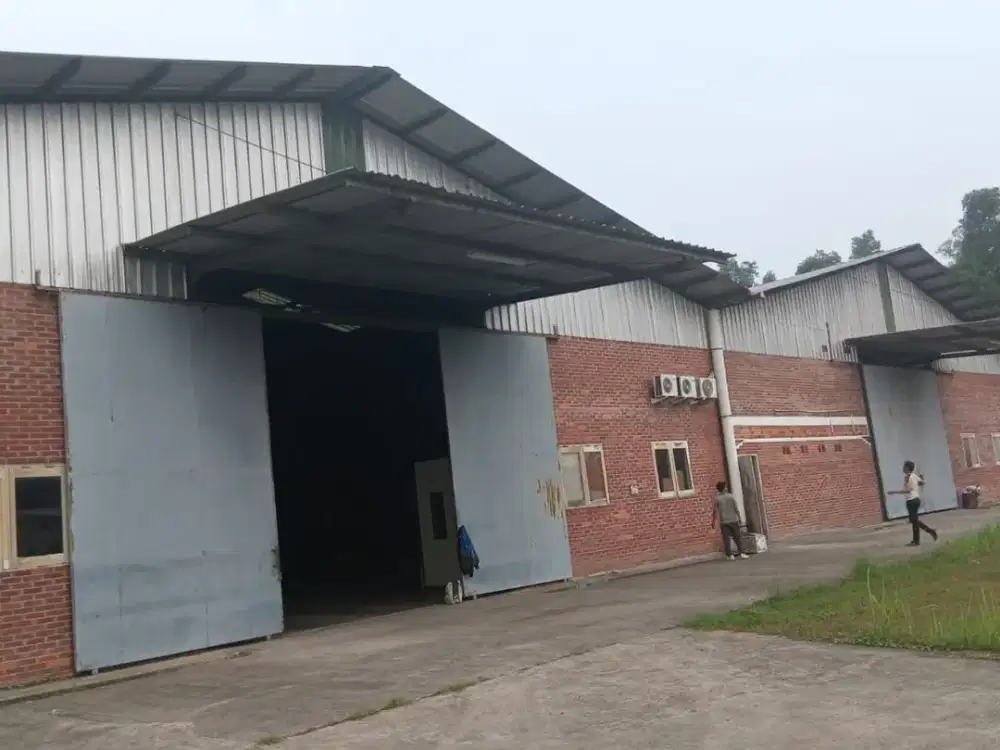 Pabrik Bagus Siap Pakai di Rangkasbitung Disewakan – Akses Mudah untuk Industri & Logistik