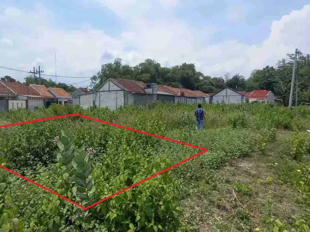 DI JUAL TANAH 

PERUM GRAND JAMBANGAN RESIDENCE 
KEL. : JAMBANGAN 
KEC. : PARON
KAB  : NGAWI