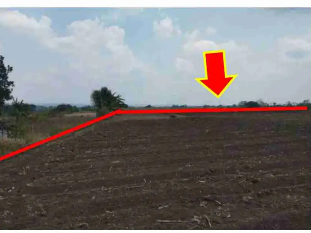 DI JUAL TANAH 

KEL. : PANJANG 
KEC. : KEDUNGADEM
KAB  : BOJONEGORO