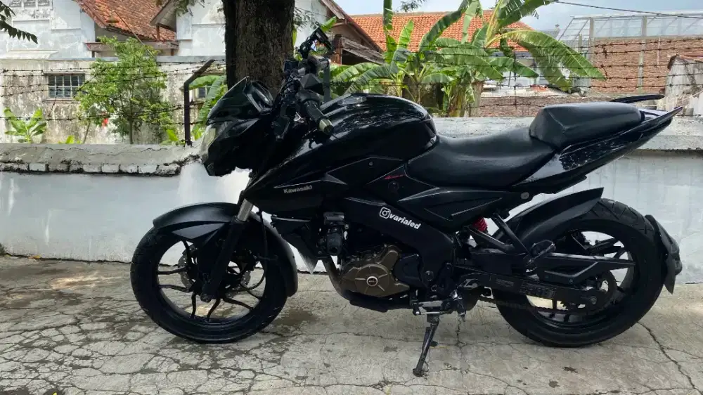 Kawasaki Bajaj Pulsar 200Ns