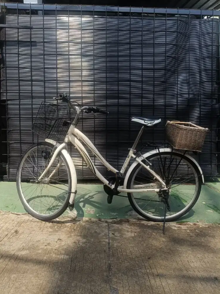 Wimcycle alloy size 26 keranjang depan belakang