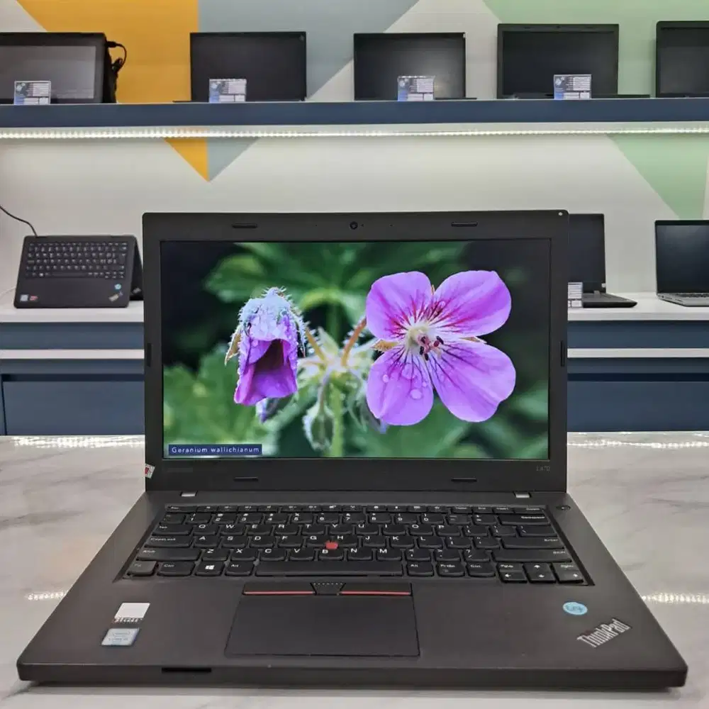 [L17] Laptop lenovo |8GB|256GB| Cocok Untuk Editing