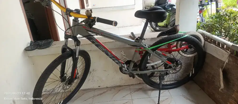 Sepeda Genio dewasa ring 26