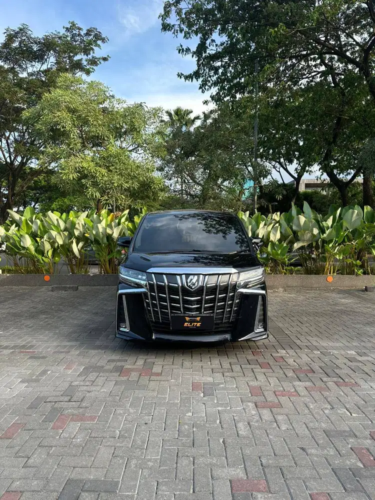 Toyota Alphard SC Welcab 2018 Rare Unit Black Beige