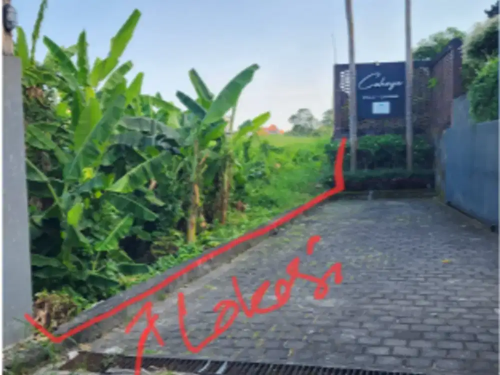 Tanah di Berawa Canggu