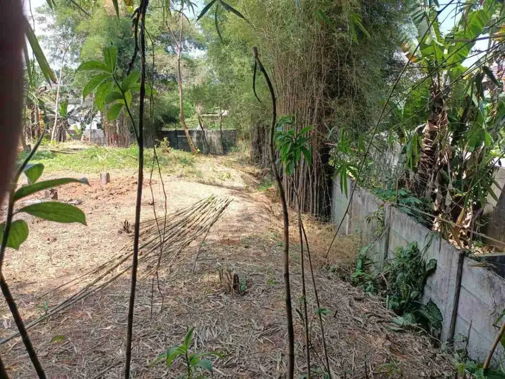 Dijual Cepat Kavling Parung Panjang Bogor