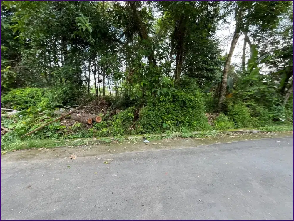 Dekat Candi di Kalasan Dijual Tanah Yogyakarta di Jl. Raya LPMP