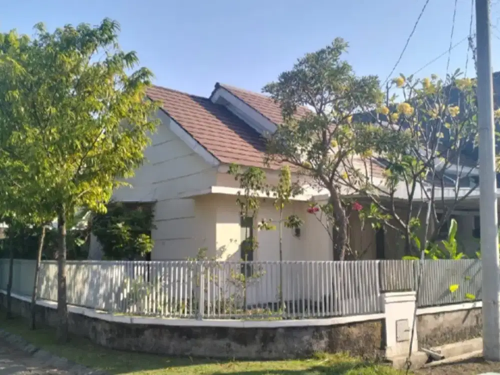 Rumah hook di Purimas
