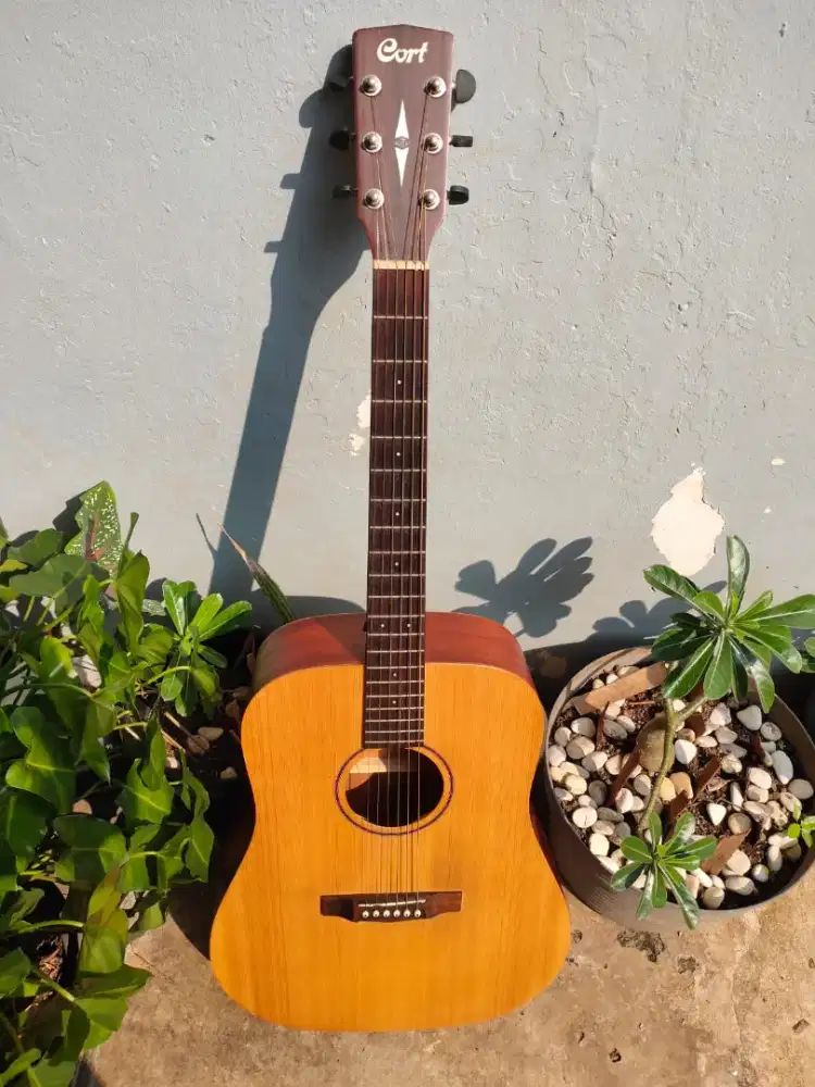 Jual Santai Gitar Akustik String Cort + Bonus