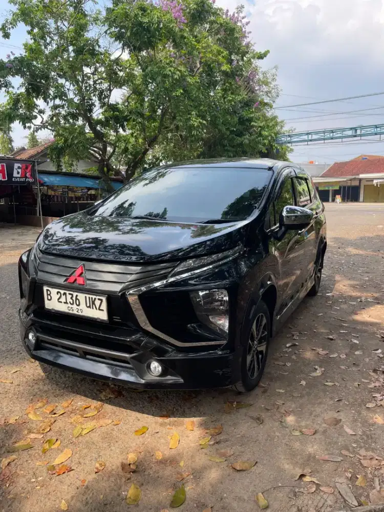Expander sport AT 2019