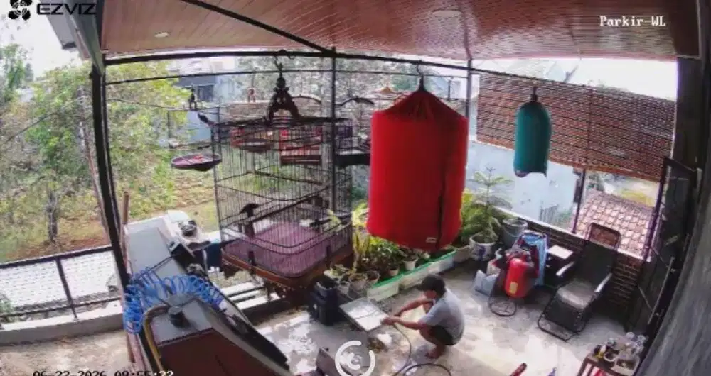 Dicari Perawat Burung Kicau Gaji Bulanan di Pondok Aren