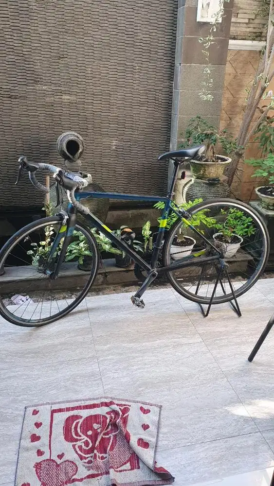 POLYGON Sepeda Balap Strattos S4