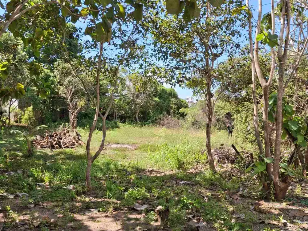 Cari Tanah di Bali? Pilih yang Murmer di Kutuh, Area Favorit Expat!