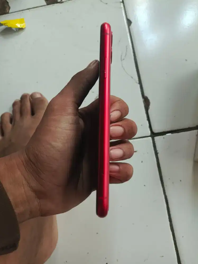 iPhone 11/64 GB