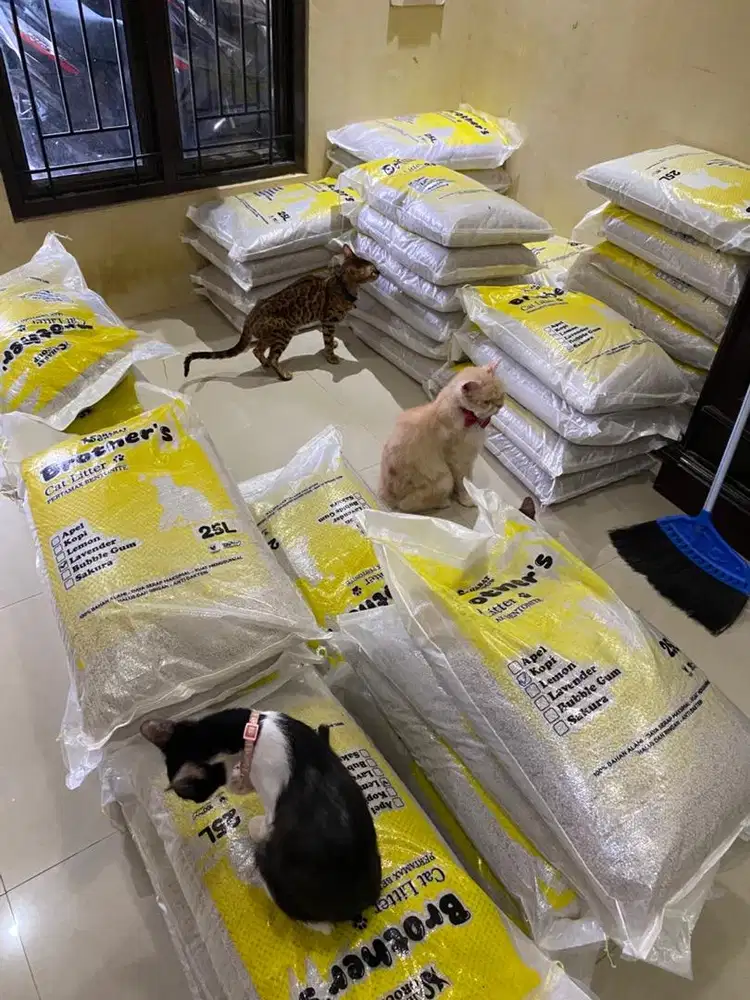 Pasir kucing gumpal wangi
