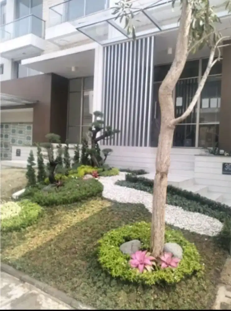 Menerima dekorasi taman rumah minimalis berkualitas tinggi