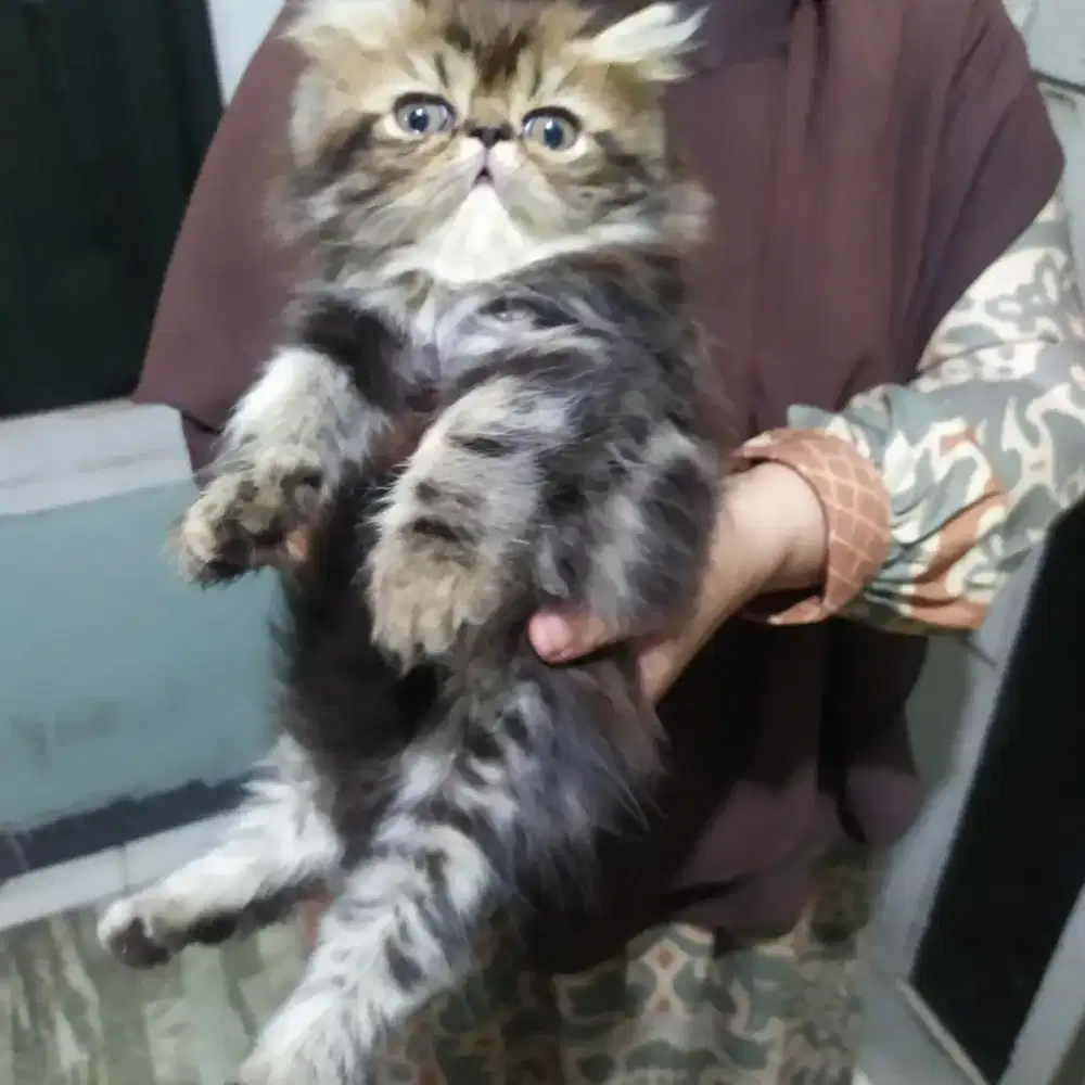 Anak piknos usia 2 bulan