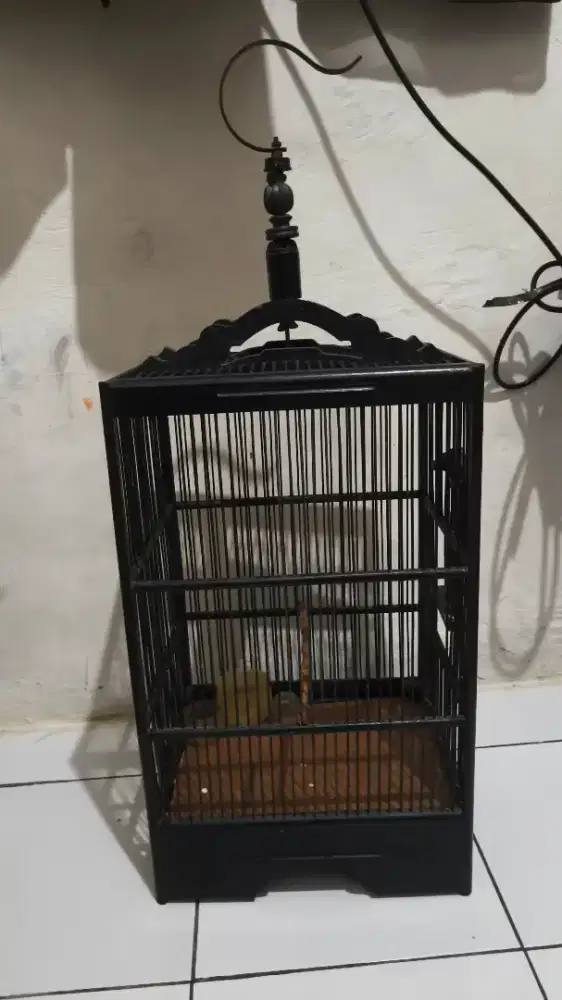 Kandang burung kotak kecil ukuran pleci ciblek cipow