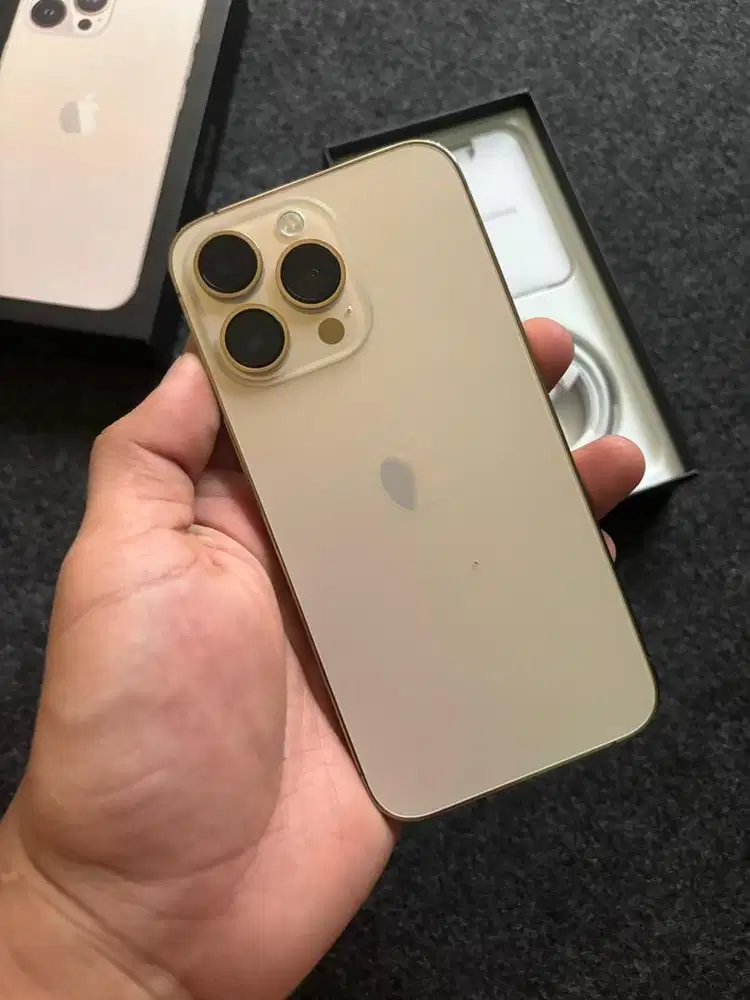 iPhone 13 Pro 256 GB Gold
