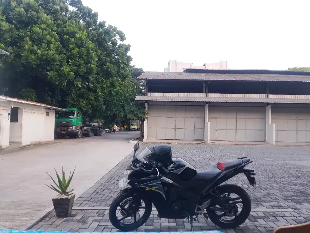 Honda Cbr 150r thailand