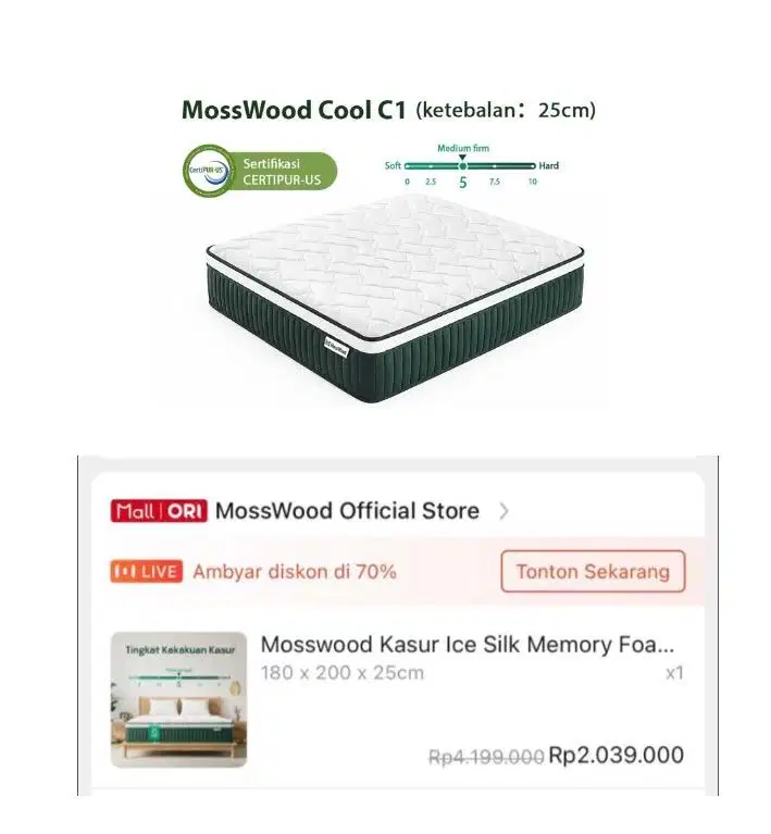 Kasur Springbed