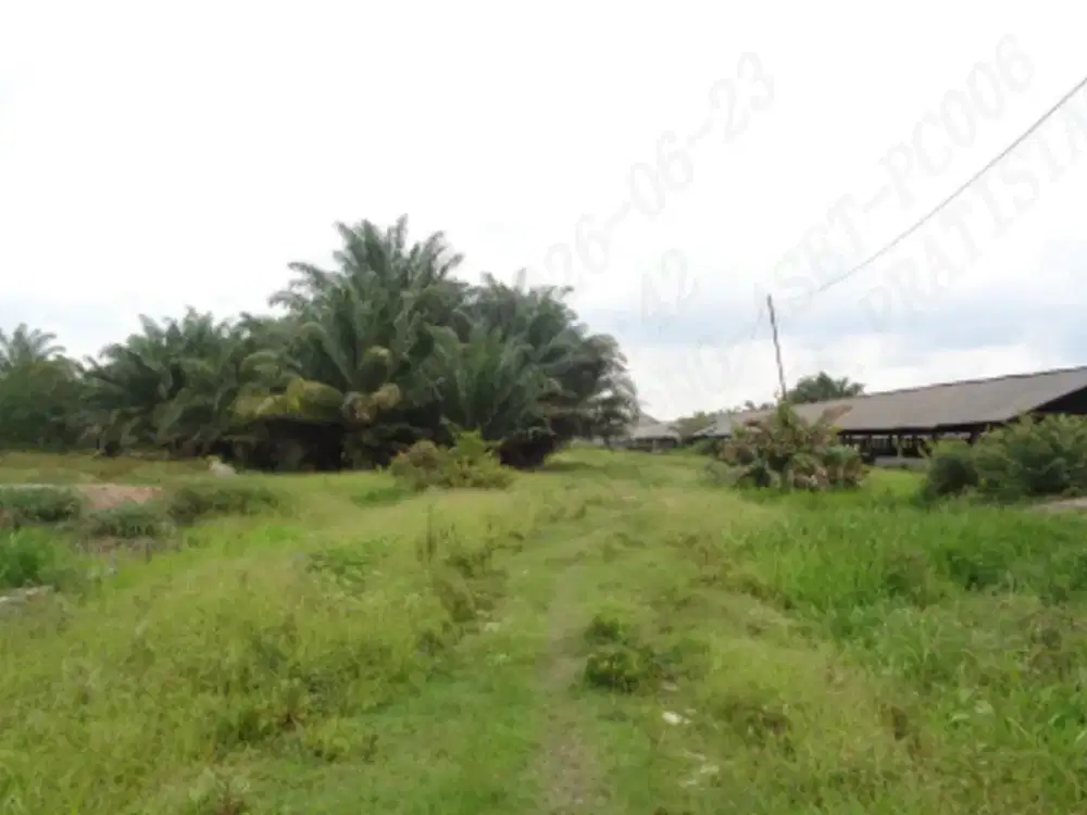 Dijual  Tanah Seluas 52.356 m2 Seharga Rp. 4,2 M di Banyuasin - Sumel