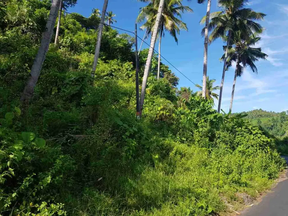 DIJUAL CEPAT TANAH CANTIK VIEW LAUT DAERAH TANAHWANGKO, HARGA SANGAT MURAH
